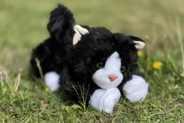 Terapeutický kocour Mikeš, černý