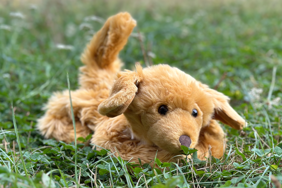 Terapeutický pes Ben - světle hnědý