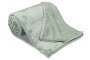 mikroflanelová deka USW - šalvěj